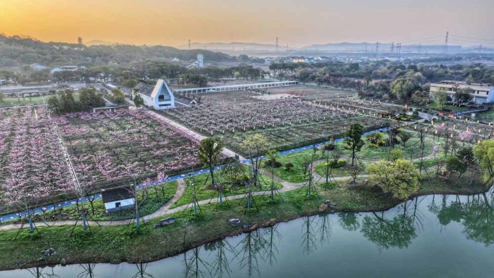 春日经济新图景|从“赏桃林”到“觅桃源”,林下经济“种”出田园新花样 春日经济新图景|从“赏桃林”到“觅桃源”,林下经济“种”出田园新花样