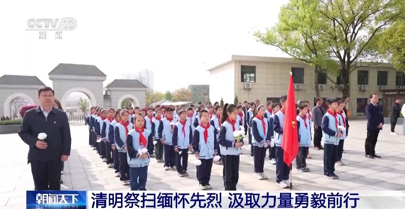 视频丨清明祭扫缅怀先烈 汲取力量勇毅前行