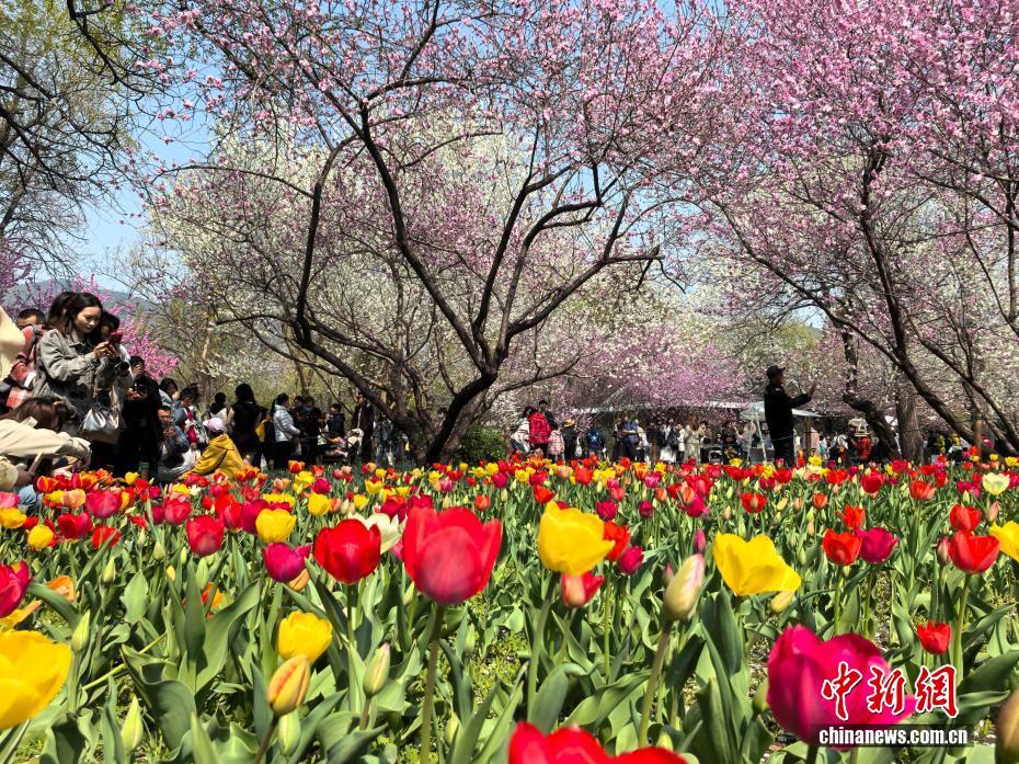 清明假期 各地民众踏青享受户外时光