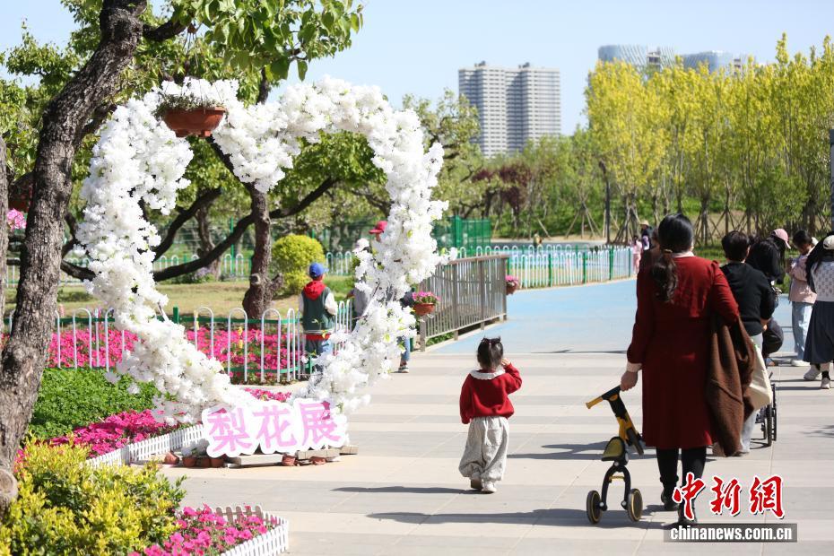 清明假期 各地民众踏青享受户外时光 清明假期 各地民众踏青享受户外时光