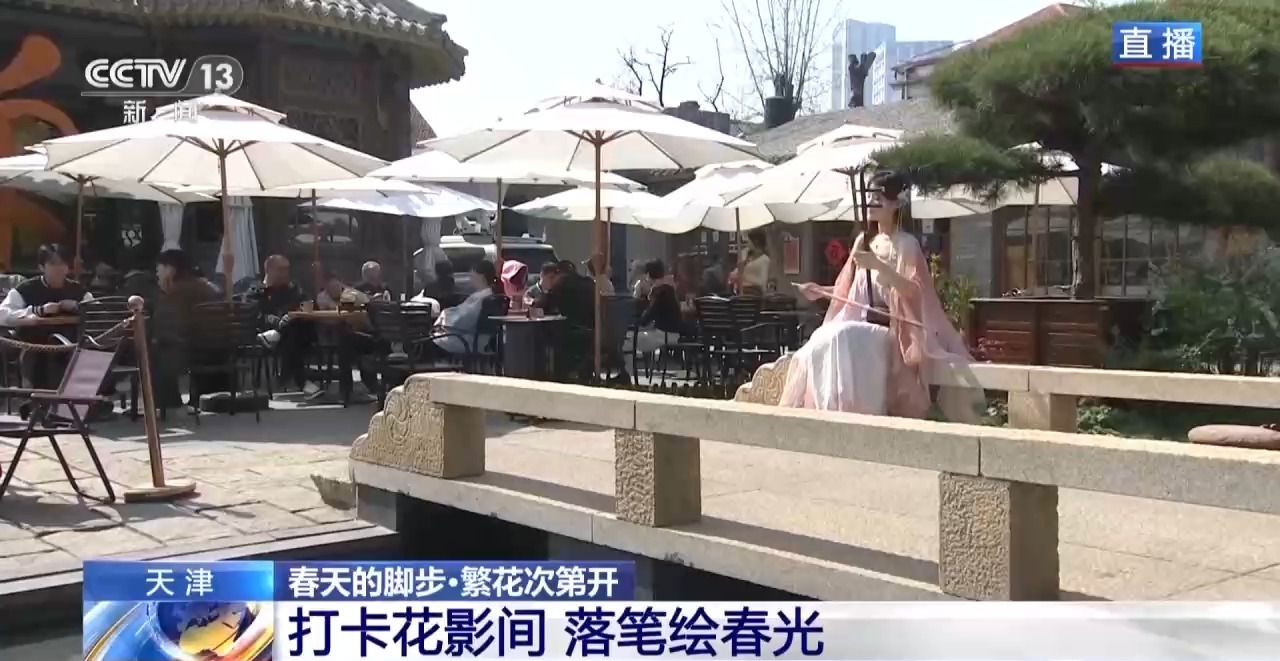 视频丨南北春花次第开放 “赏花经济”解锁农文旅融合新业态