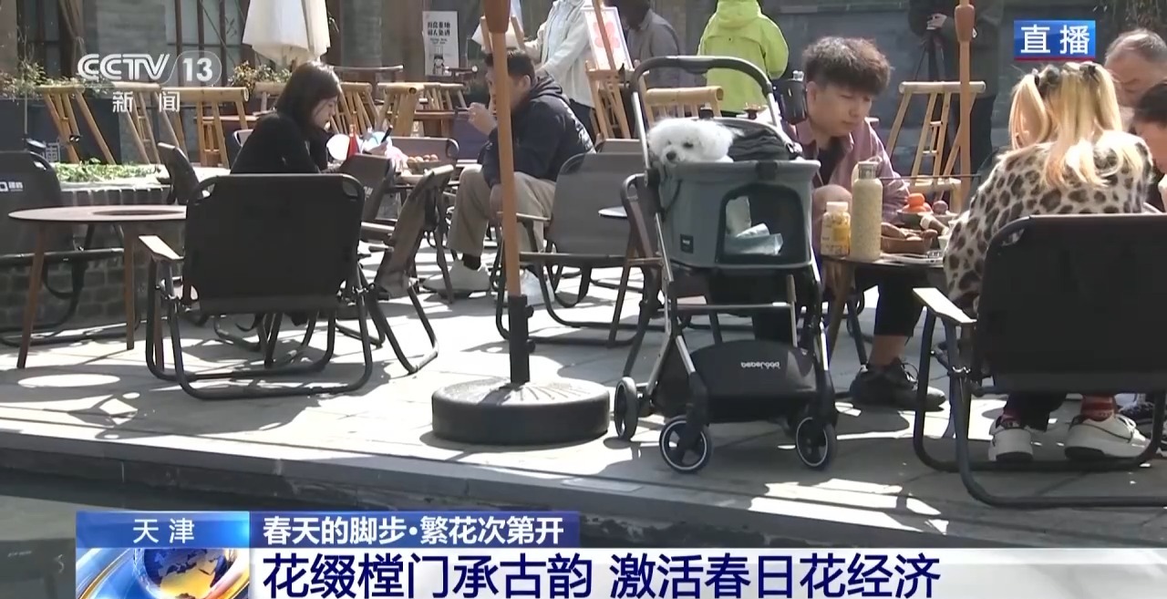 视频丨南北春花次第开放 “赏花经济”解锁农文旅融合新业态