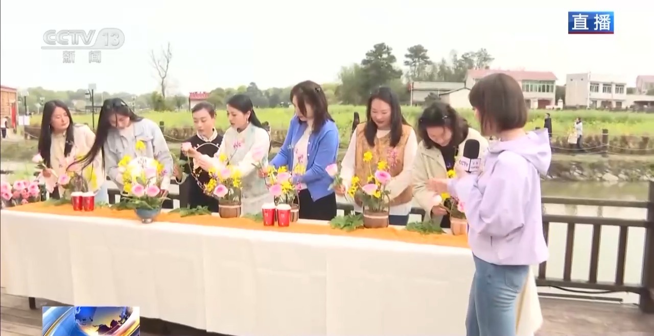 视频丨南北春花次第开放 “赏花经济”解锁农文旅融合新业态