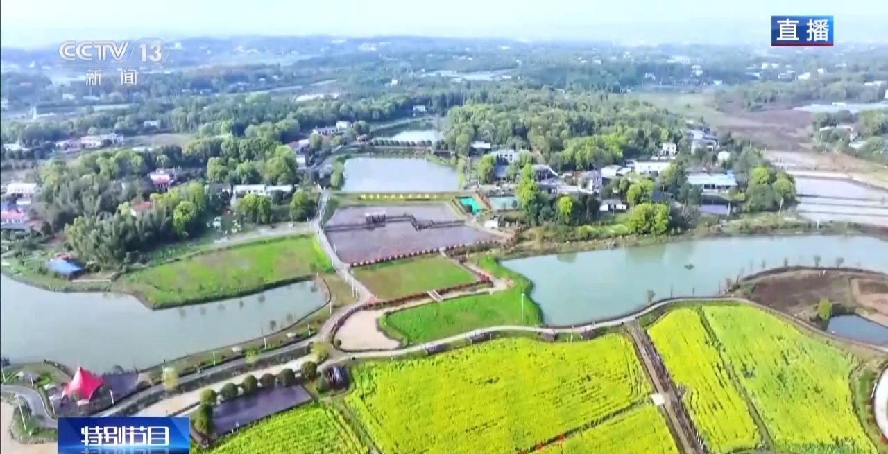 视频丨南北春花次第开放 “赏花经济”解锁农文旅融合新业态
