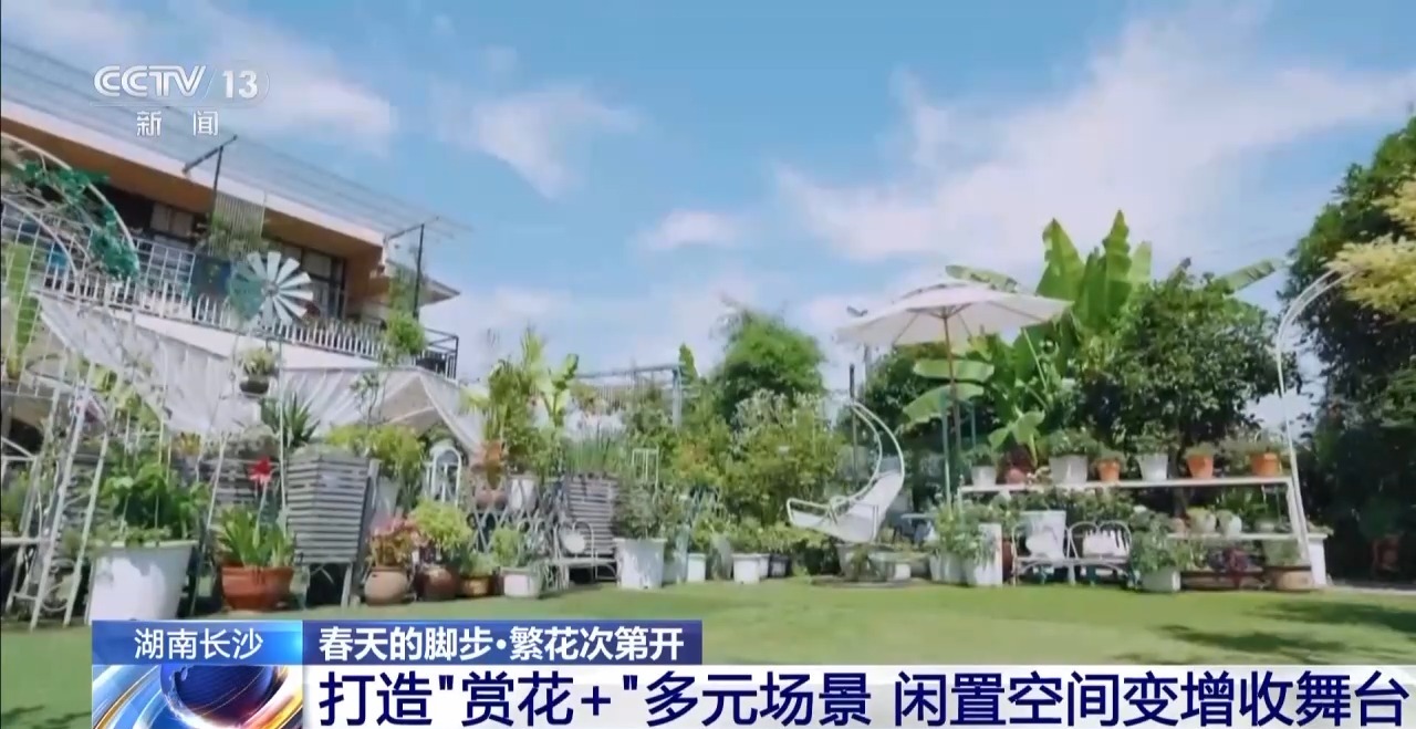视频丨南北春花次第开放 “赏花经济”解锁农文旅融合新业态