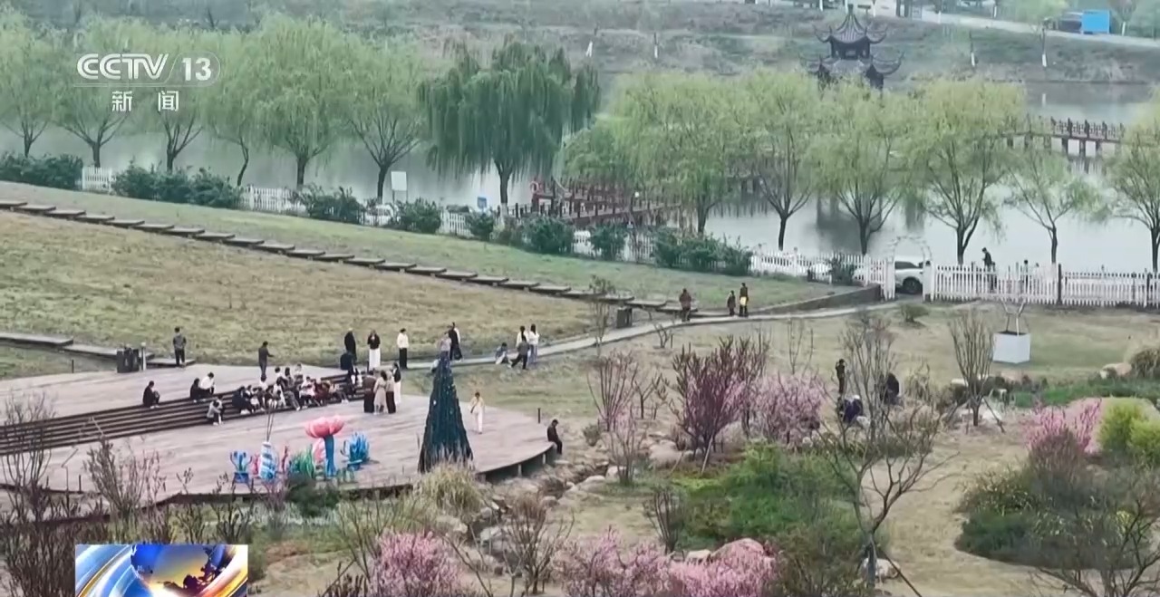 视频丨南北春花次第开放 “赏花经济”解锁农文旅融合新业态