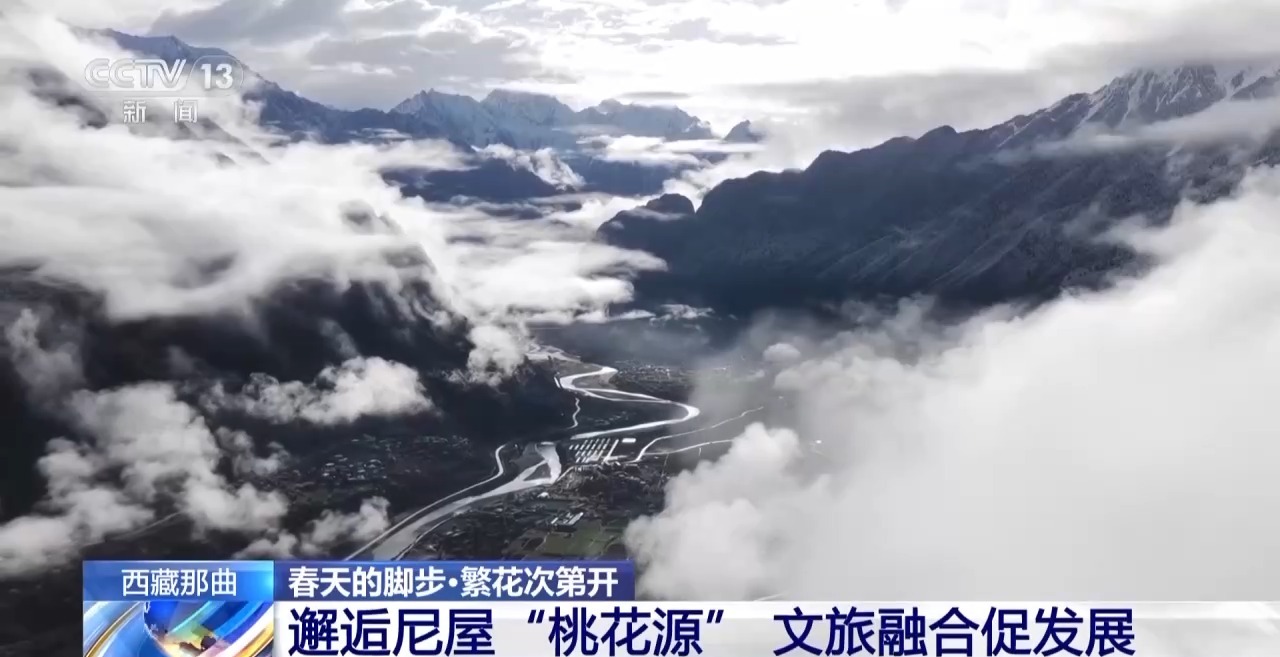 视频丨南北春花次第开放 “赏花经济”解锁农文旅融合新业态