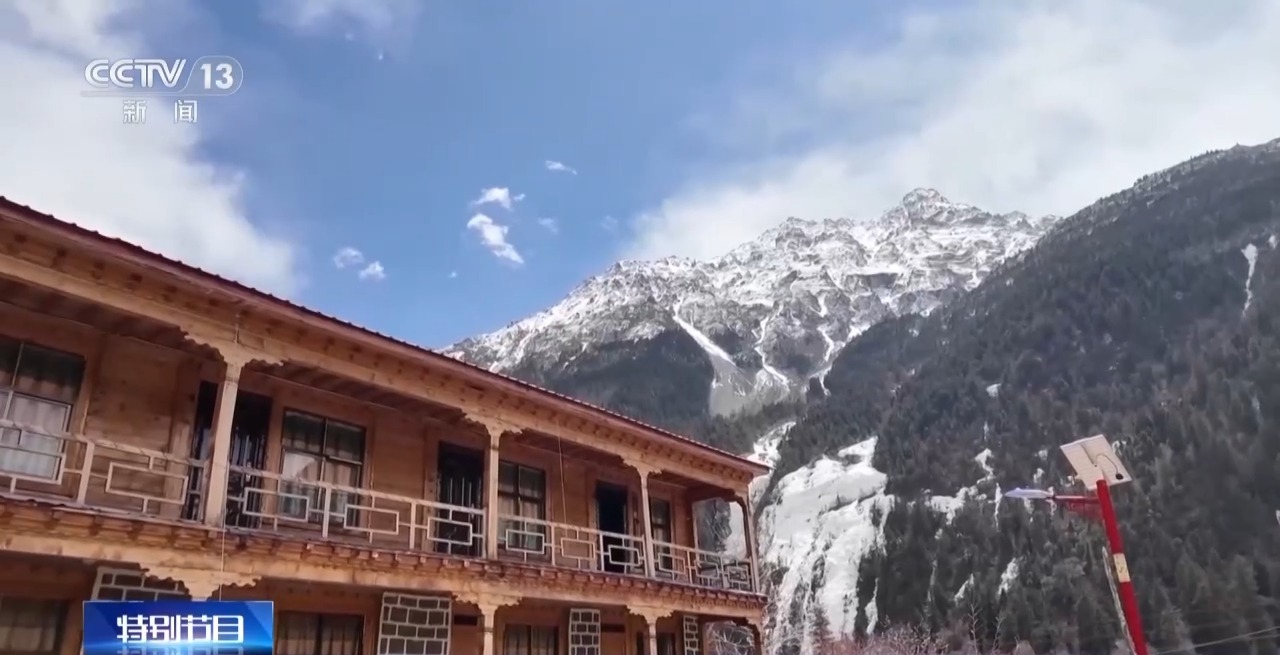 视频丨南北春花次第开放 “赏花经济”解锁农文旅融合新业态