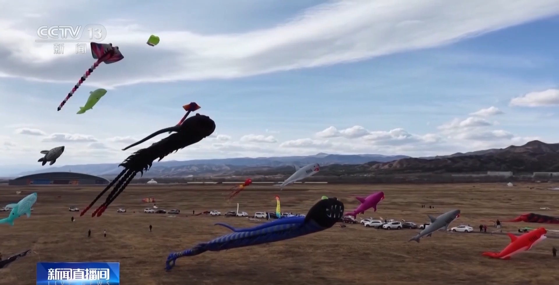 视频丨从自然山水到人文风光 清明假期一起去沉浸式感受春日魅力