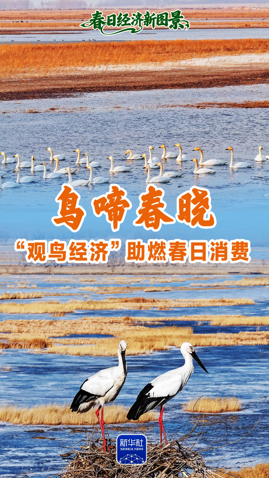 春日经济新图景｜鸟啼春晓，“观鸟经济”助燃春日消费