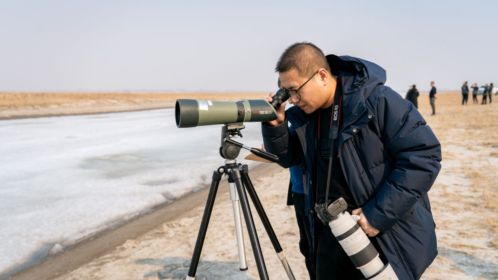 春日经济新图景｜鸟啼春晓，“观鸟经济”助燃春日消费