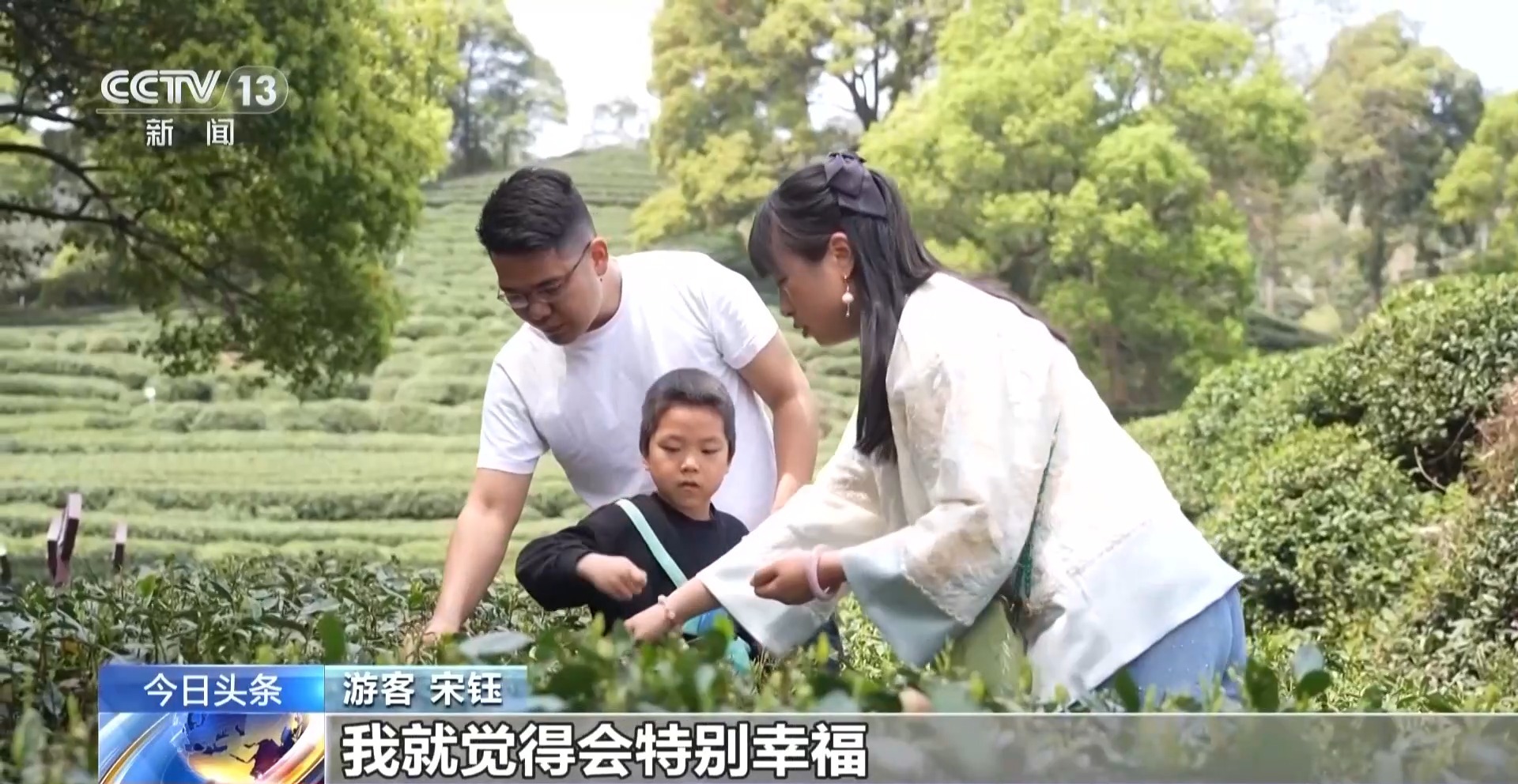 视频丨赏花品茶探古韵 春日文旅融合发展绘就多彩画卷