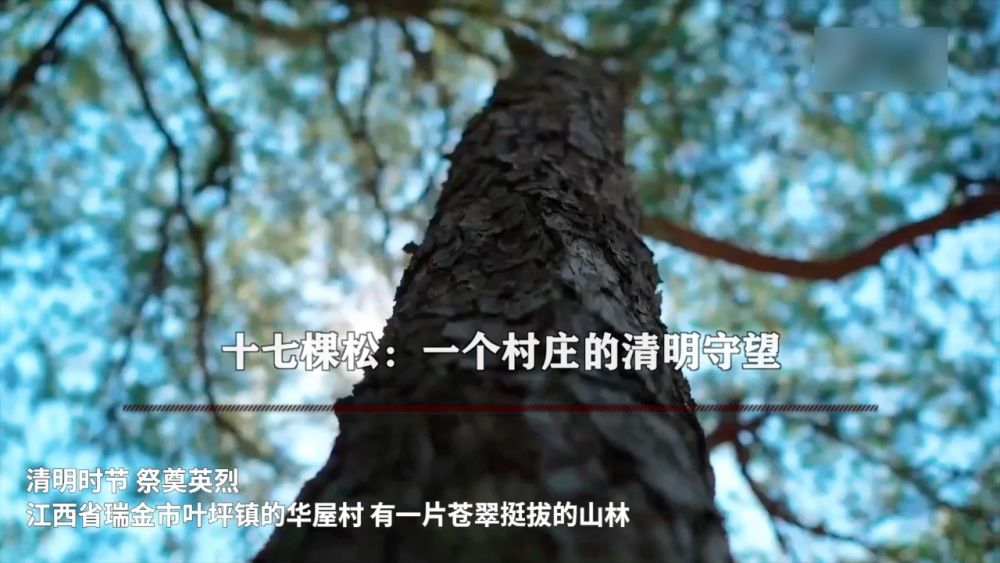 新华视点｜英魂归山河 风骨励后人