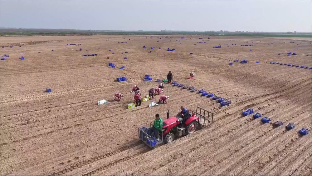 春耕春管正当时 多措并举保丰产