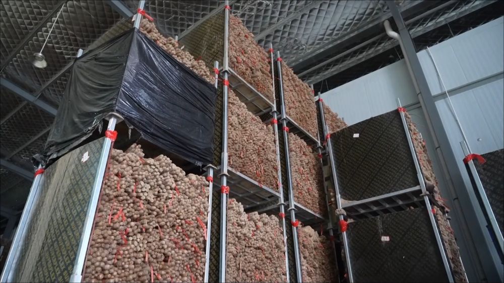 春耕春管正当时 多措并举保丰产