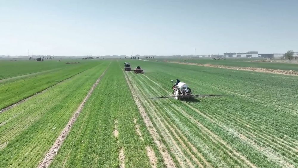 春耕春管正当时 多措并举保丰产