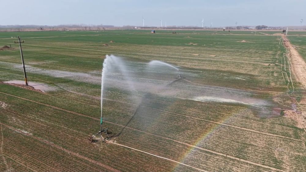 春耕春管正当时 多措并举保丰产