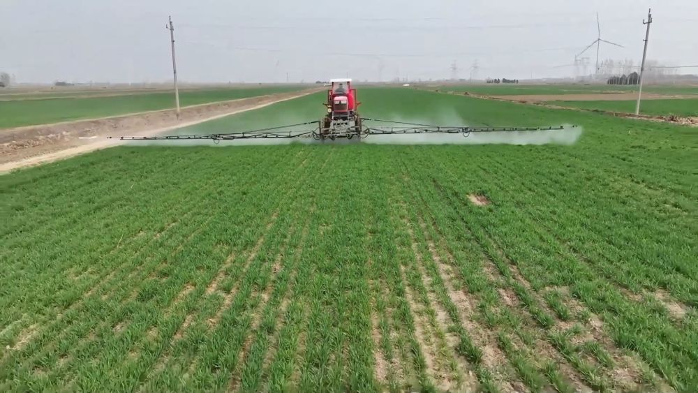 春耕春管正当时 多措并举保丰产