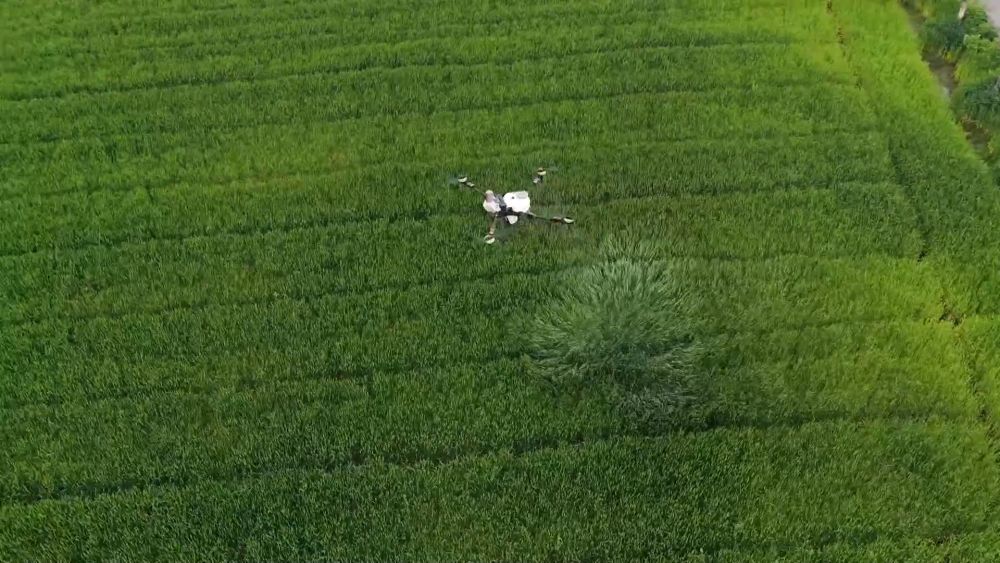 春耕春管正当时 多措并举保丰产