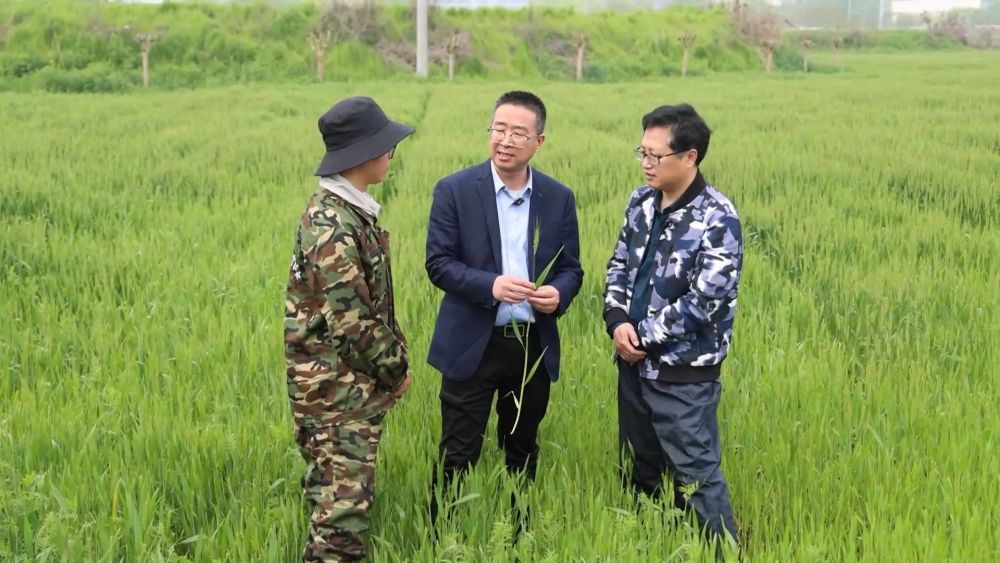 春耕春管正当时 多措并举保丰产