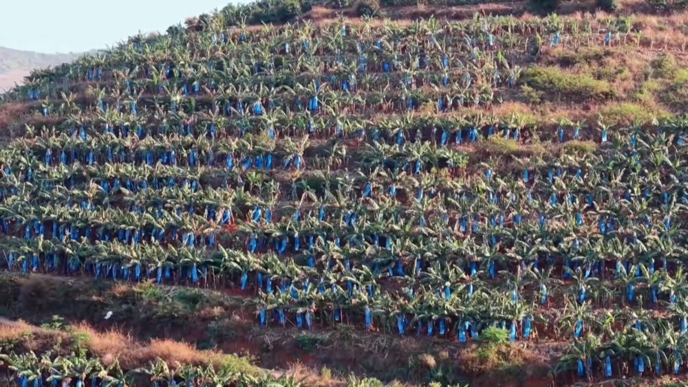 春耕春管正当时 多措并举保丰产