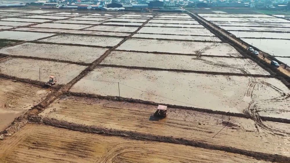 春耕春管正当时 多措并举保丰产