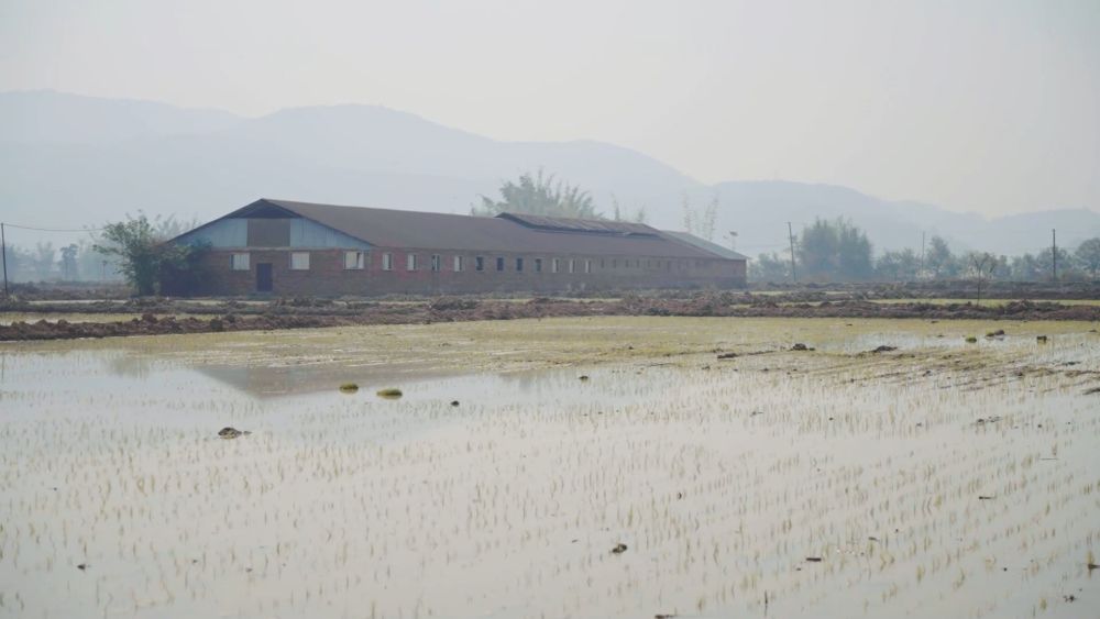 春耕春管正当时 多措并举保丰产