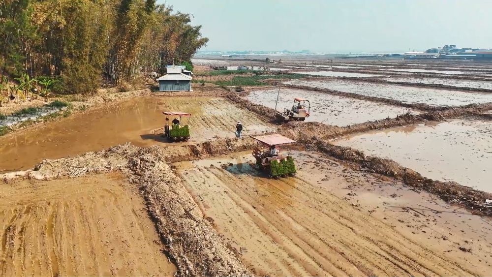 春耕春管正当时 多措并举保丰产