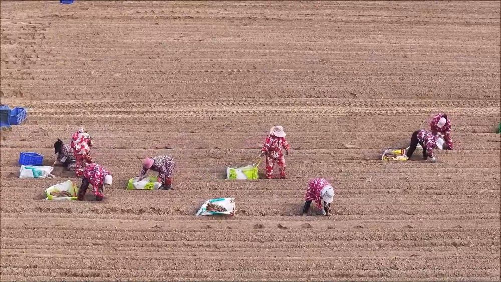 春耕春管正当时 多措并举保丰产