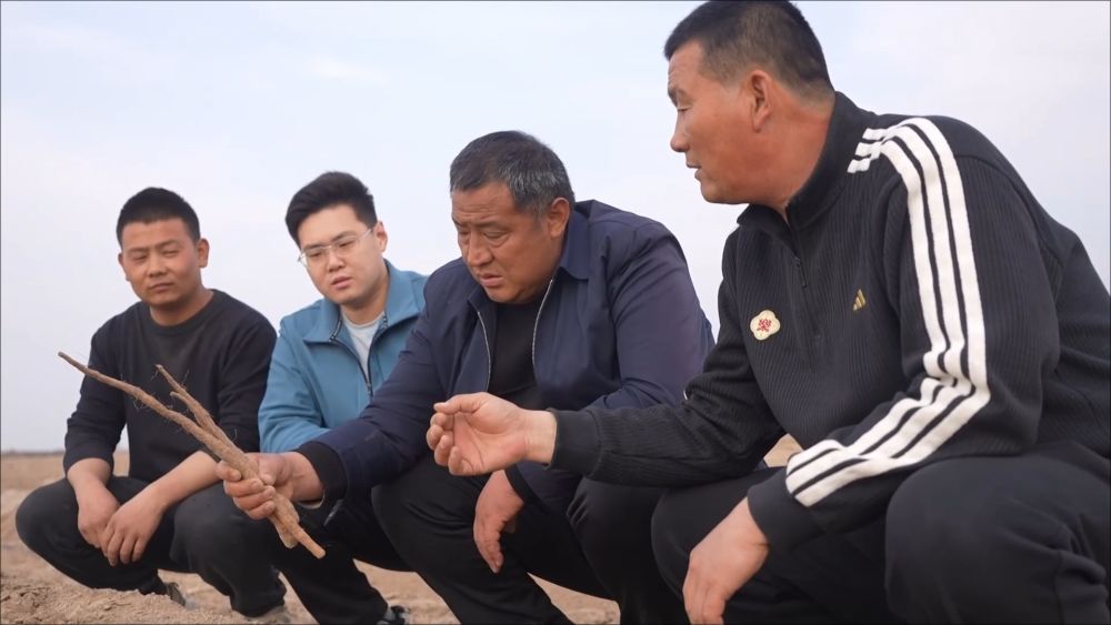 春耕春管正当时 多措并举保丰产