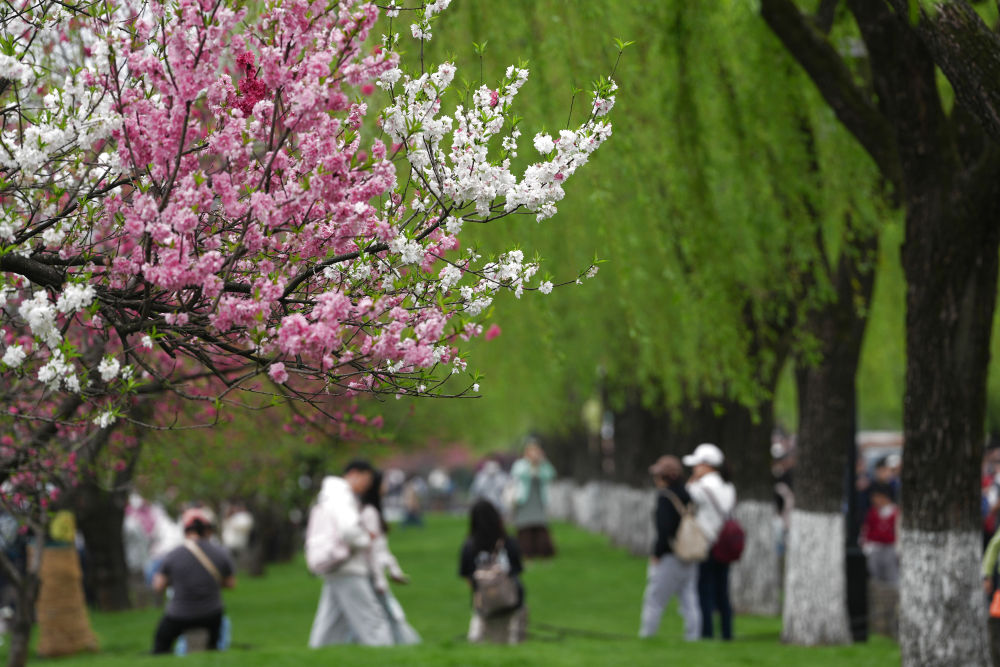 Color Walk、赏味游……这个假期你更爱哪种？