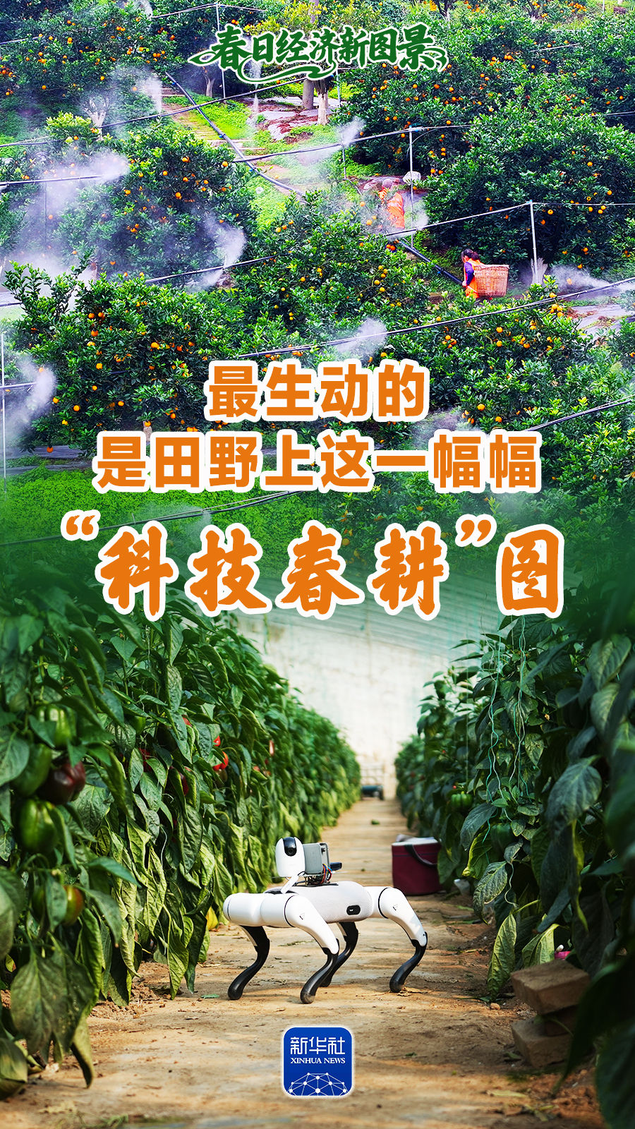 春日经济新图景｜生动！这一幅幅“科技春耕”图