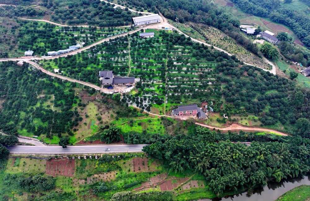春日经济新图景｜生动！这一幅幅“科技春耕”图