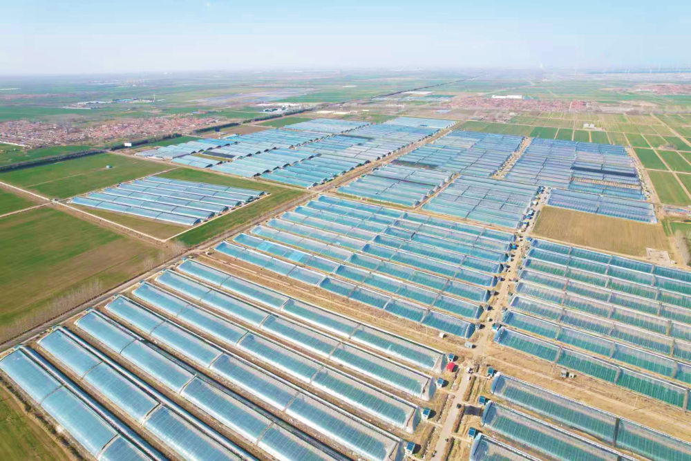 春日经济新图景｜生动！这一幅幅“科技春耕”图