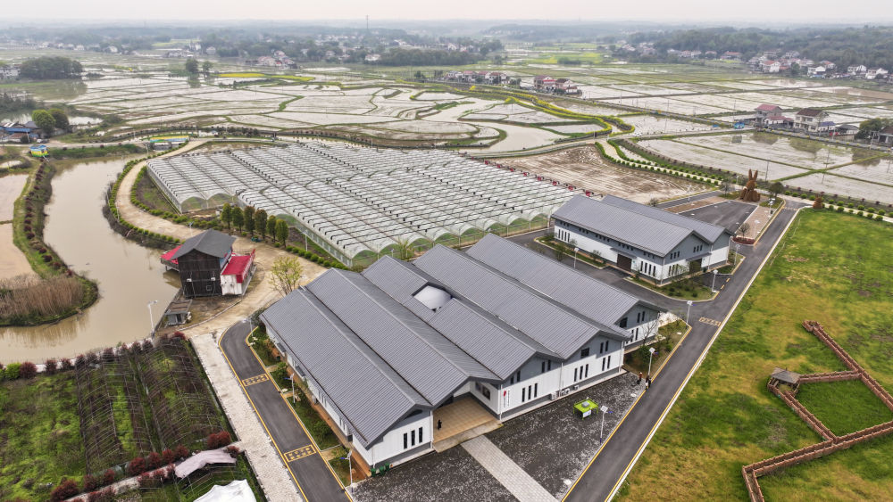 春日经济新图景｜生动！这一幅幅“科技春耕”图