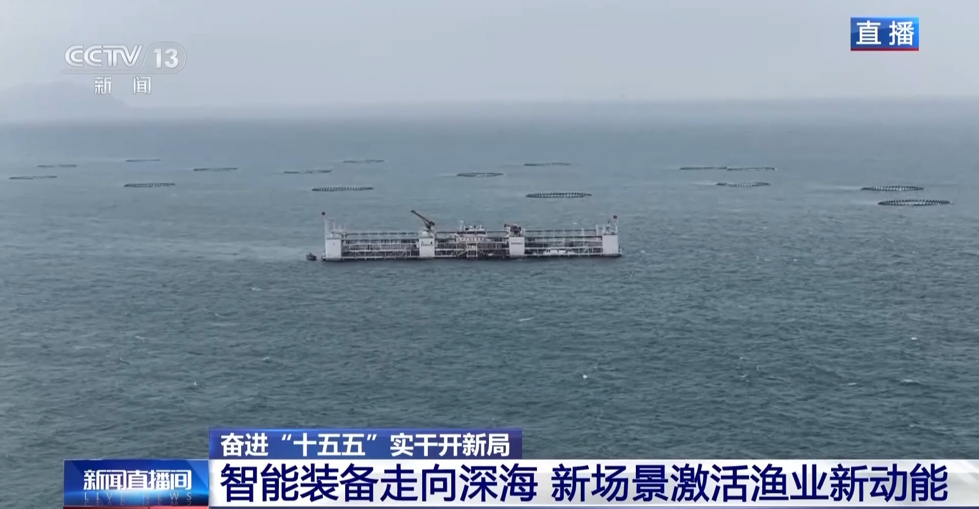 奋进“十五五” 实干开新局丨经验养殖→数据驱动 新场景激活渔业新动能