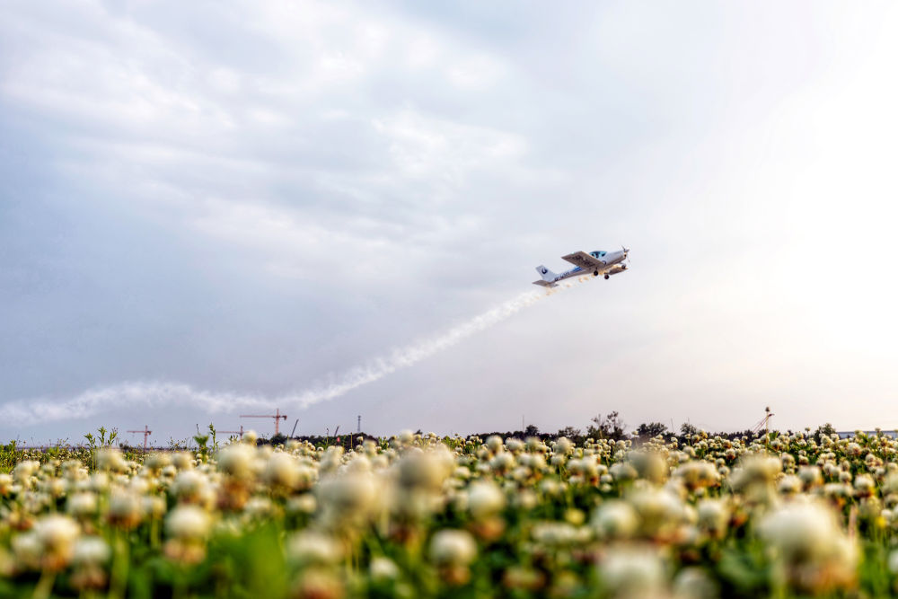 “春日经济”多点开花 市场潜力持续释放
