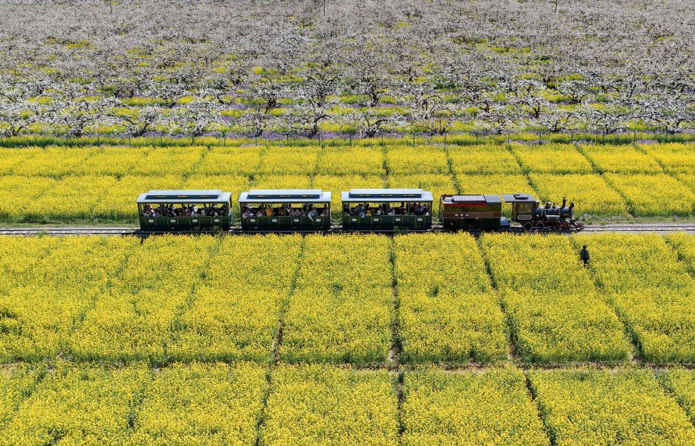 “春日经济”多点开花 市场潜力持续释放