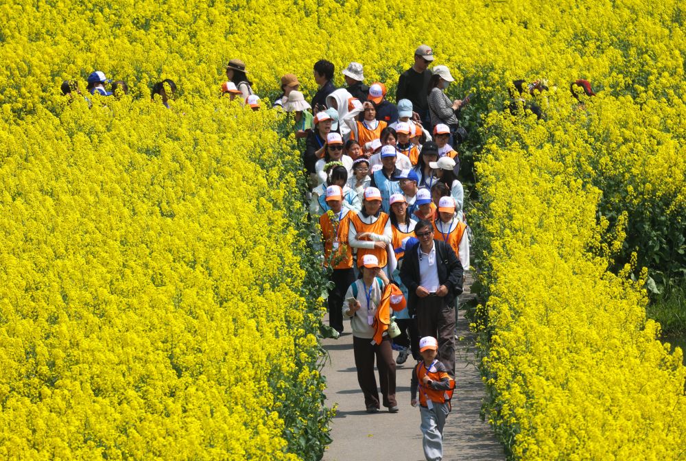 财经聚焦｜春日经济活力的关键何在