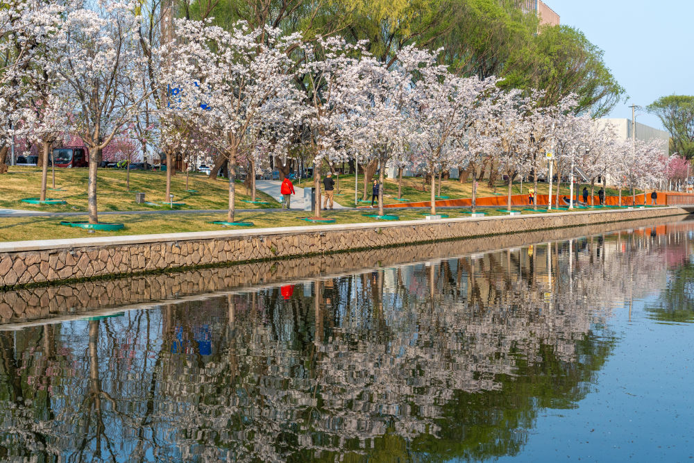 春日经济新图景｜人间四月天，“花生态”绽出“花生活”