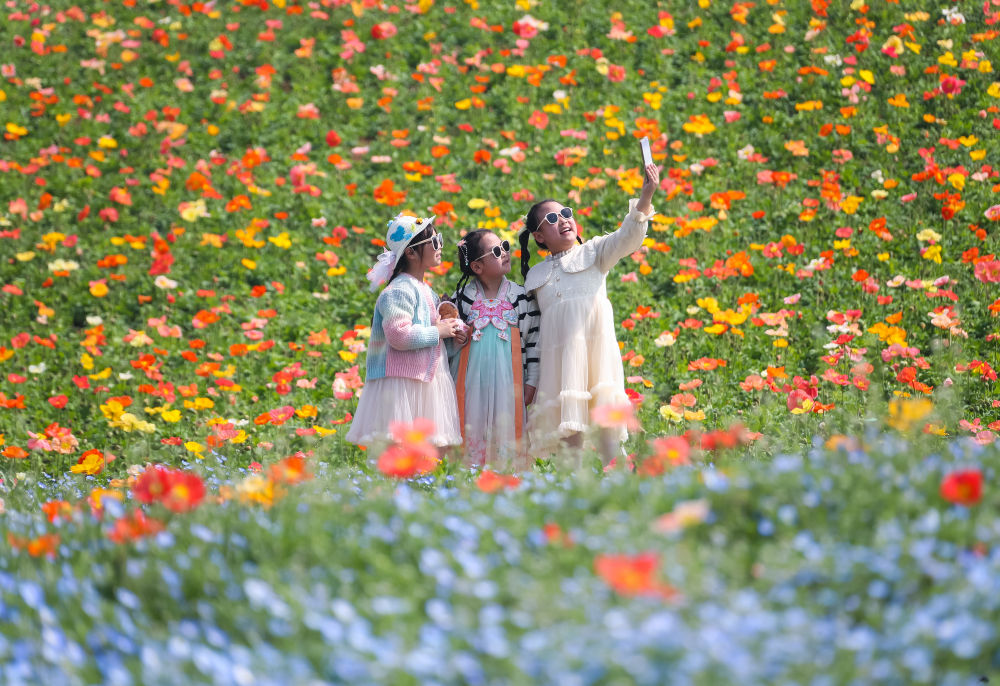 缤纷春假，让孩子在春光里收获成长