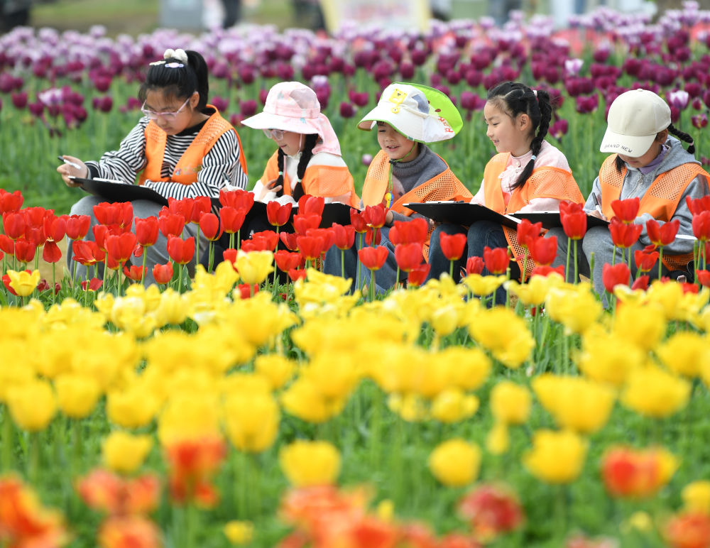 缤纷春假，让孩子在春光里收获成长