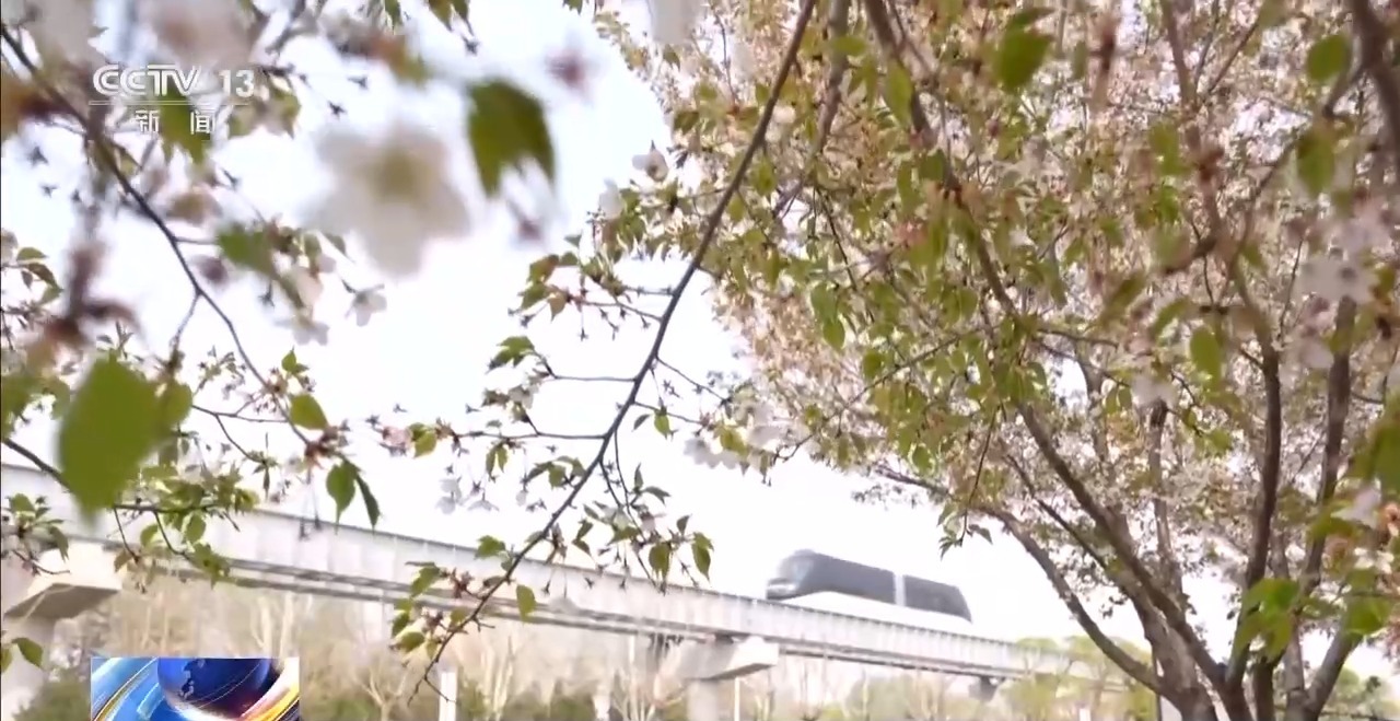 踏青赏花正当时 乘坐列车打卡各地的春天