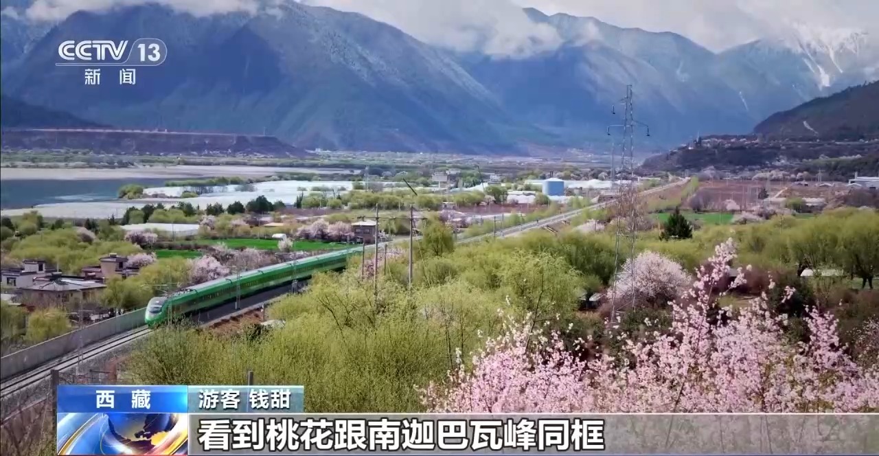 踏青赏花正当时 乘坐列车打卡各地的春天