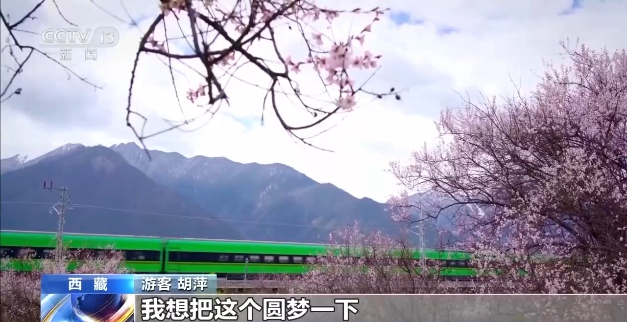 踏青赏花正当时 乘坐列车打卡各地的春天