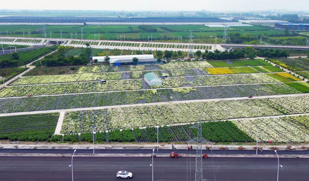 春日经济新图景|“赏花经济”开出“四季春” 春日经济新图景|“赏花经济”开出“四季春”
