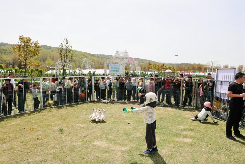春日经济新图景|“赏花经济”开出“四季春” 春日经济新图景|“赏花经济”开出“四季春”