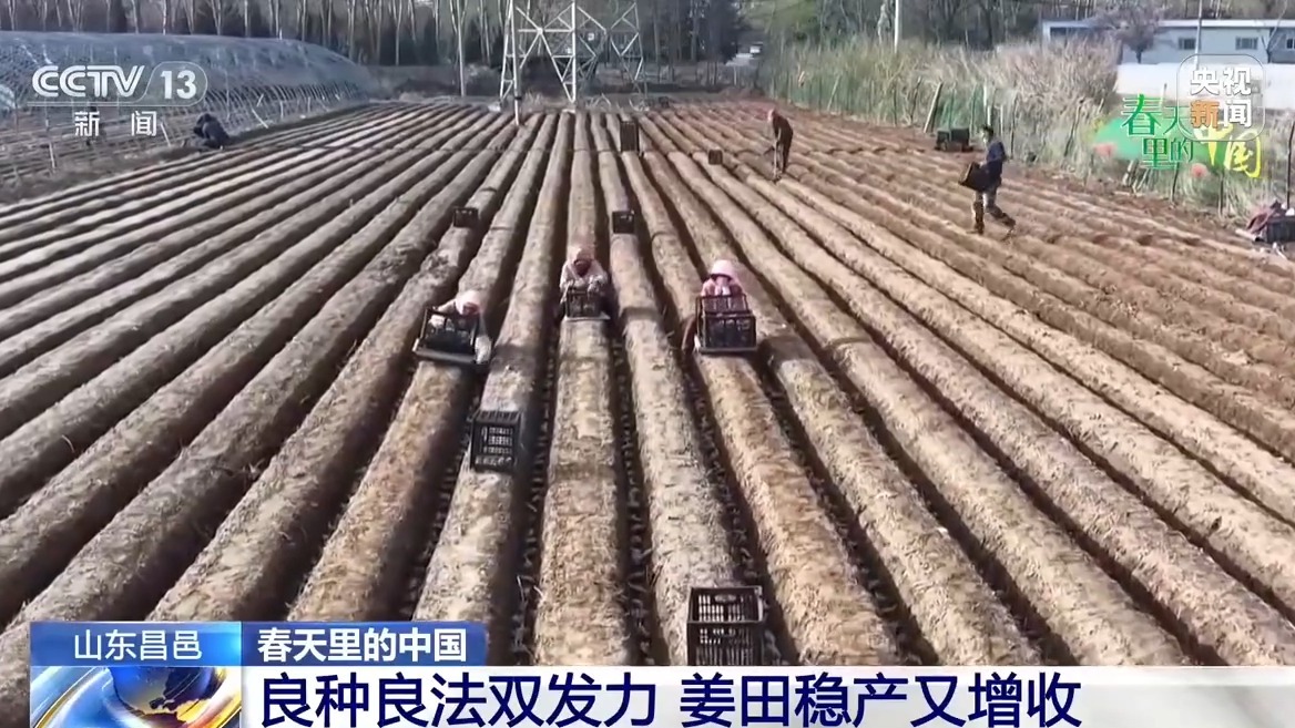 春天里的中国丨新型农机田间“上岗” 多地育秧播种按下加速键