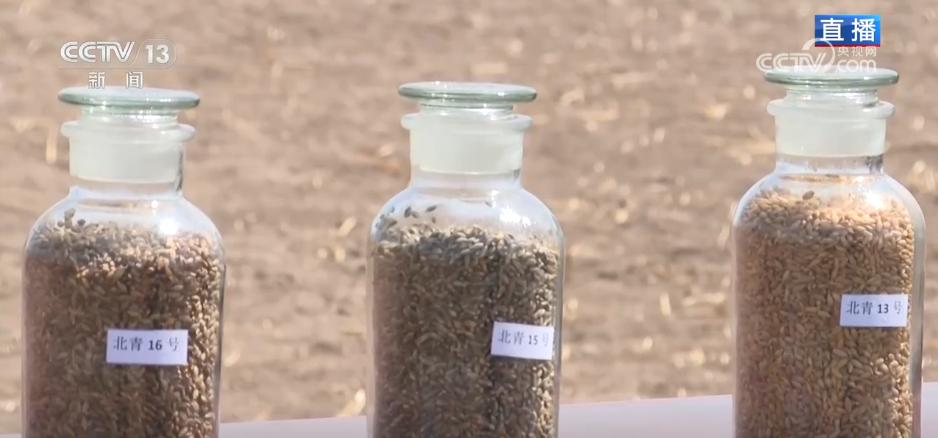 “北斗+”科技兴农绘就农耕新图景 广袤高原奏响“智慧春耕曲”