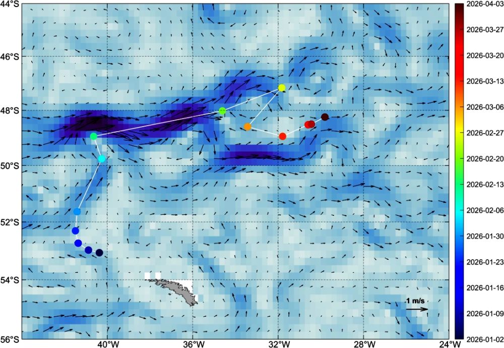 世界最大冰山崩解“销号” 我国风云气象卫星监测有“绝招”
